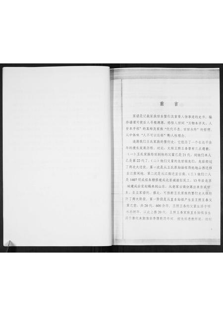 山东王氏-王照王泰家族1-16代世系表.pdf电子版预览图3