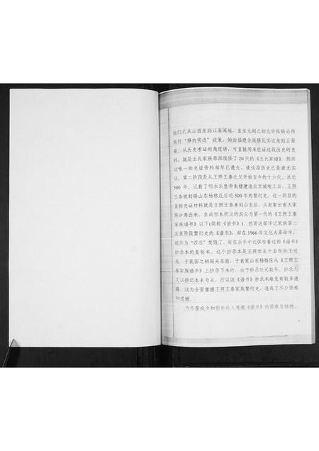 山东王氏-王照王泰家族1-16代世系表.pdf电子版预览图4