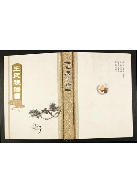 山东王氏-王庄王氏族谱.pdf电子版缩略图