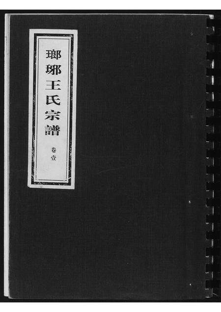 山东王氏-琅琊王氏宗谱.pdf电子版缩略图