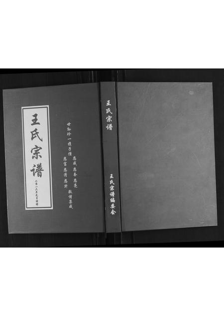 山东王氏-琅琊王氏家谱.pdf电子版缩略图