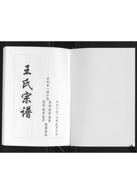 山东王氏-琅琊王氏家谱.pdf电子版预览图1