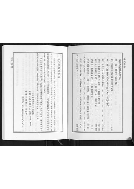 山东王氏-琅琊王氏家谱.pdf电子版预览图3