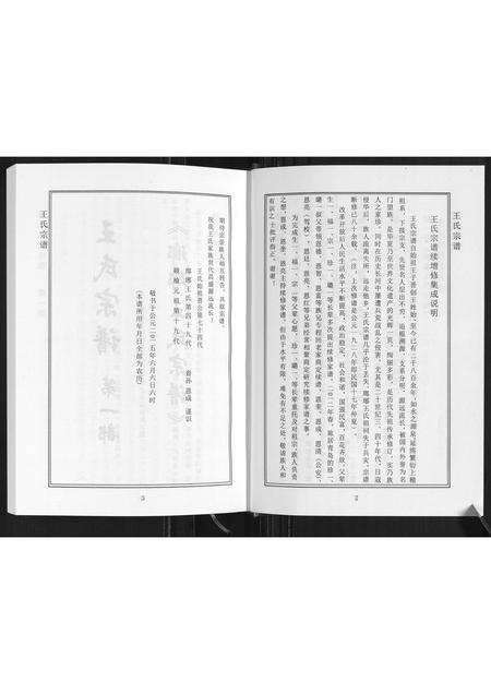 山东王氏-琅琊王氏家谱.pdf电子版预览图4