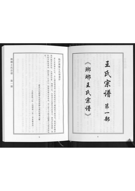 山东王氏-琅琊王氏家谱.pdf电子版预览图5