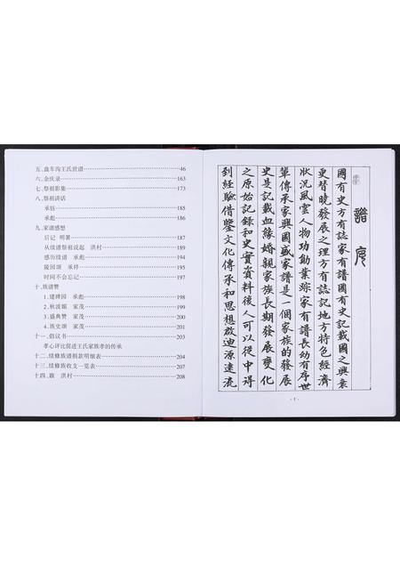 山东王氏-盘车沟王氏族谱[不分卷].pdf电子版预览图4