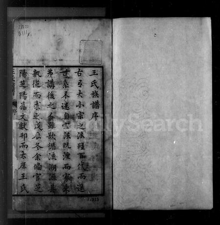 山东王氏-芝阳王氏族谱(别名：王氏族谱).pdf电子版预览图3