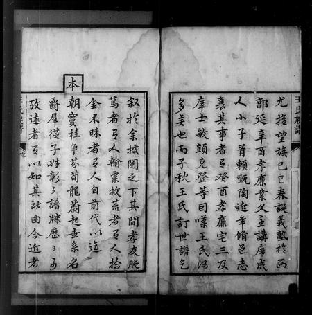 山东王氏-芝阳王氏族谱(别名：王氏族谱).pdf电子版预览图4