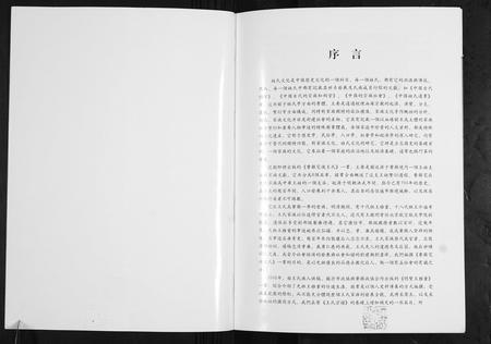 山东王氏-费县宅后王氏.pdf电子版预览图2