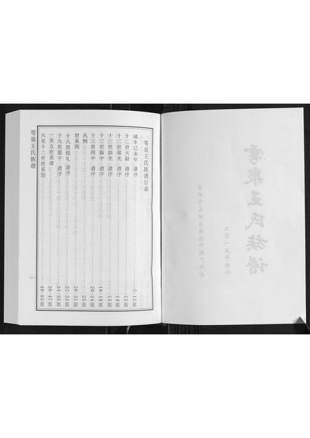 山东王氏-雩泉王氏族谱.pdf电子版预览图2