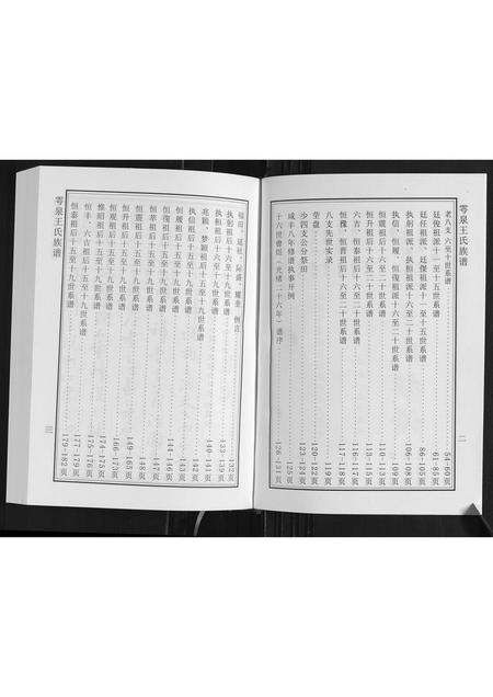 山东王氏-雩泉王氏族谱.pdf电子版预览图3