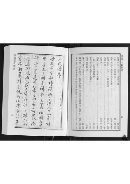 山东王氏-雩泉王氏族谱.pdf电子版预览图4