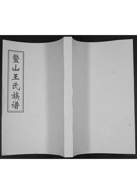 山东王氏-鳌山王氏族谱.pdf电子版缩略图