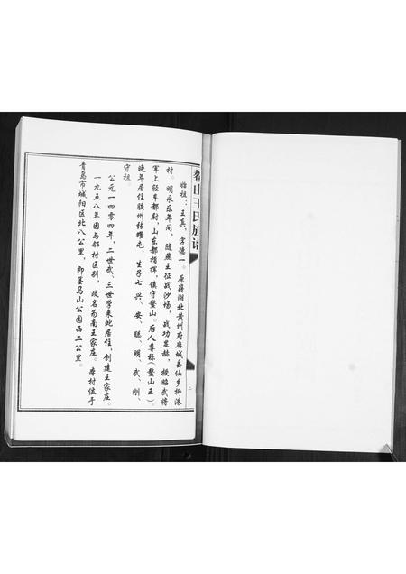 山东王氏-鳌山王氏族谱.pdf电子版预览图2