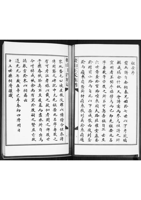 山东王氏-鳌山王氏族谱.pdf电子版预览图3