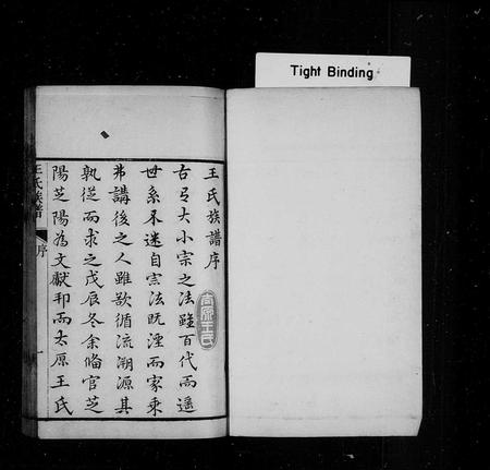 山东王氏-黄县太原王氏族谱.pdf电子版预览图1