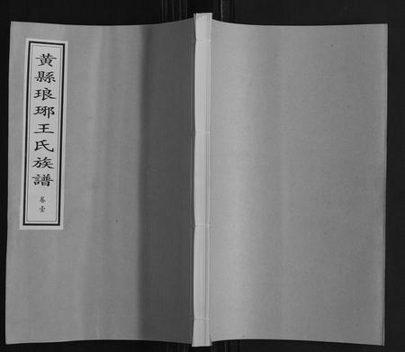 山东王氏-黄县琅琊王氏族谱.pdf电子版缩略图