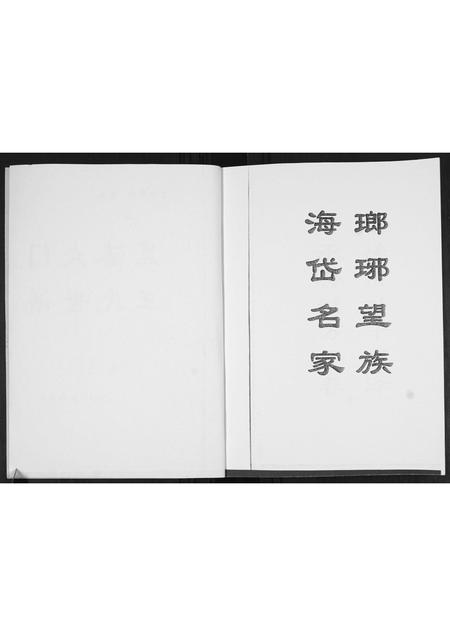 山东王氏-黑漆大门王氏世谱[4篇].pdf电子版预览图2