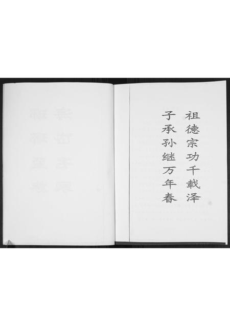 山东王氏-黑漆大门王氏世谱[4篇].pdf电子版预览图3