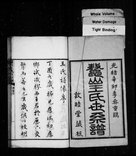 山东王氏-鳌山王氏世系谱(别名：鳌山王氏续修世系谱).pdf电子版预览图1