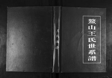 山东王氏-鳌山王氏世系谱.pdf电子版缩略图