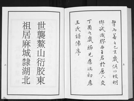 山东王氏-鳌山王氏世系谱.pdf电子版预览图3