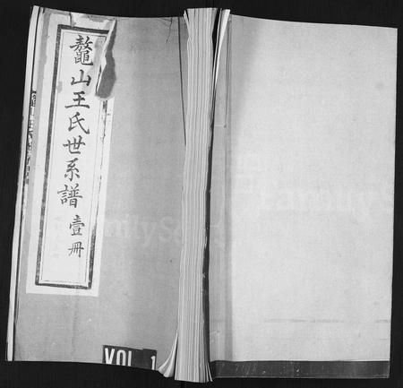 山东王氏-鳌山王氏世系谱.pdf电子版缩略图