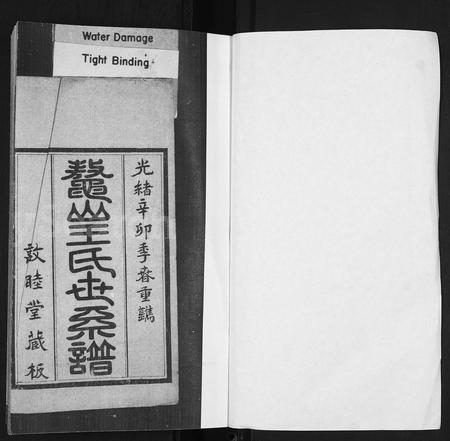 山东王氏-鳌山王氏世系谱.pdf电子版预览图1