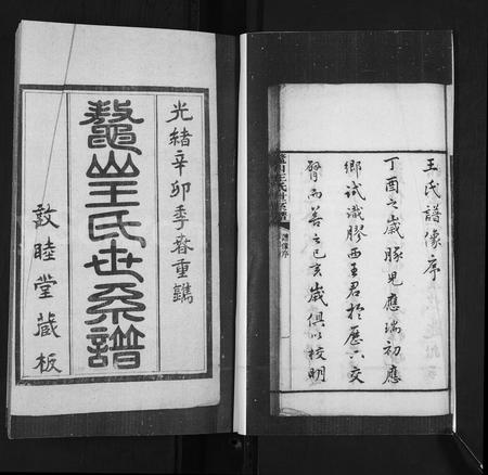 山东王氏-鳌山王氏世系谱.pdf电子版预览图2