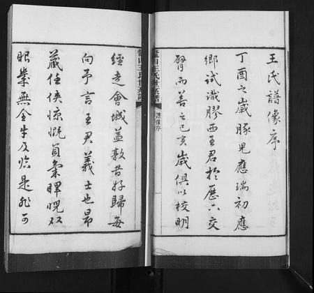 山东王氏-鳌山王氏世系谱.pdf电子版预览图3