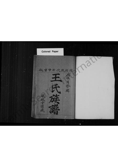 山东王氏-王氏族谱.pdf电子版预览图1