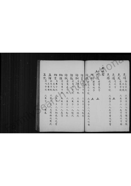 山东王氏-王氏族谱.pdf电子版预览图5