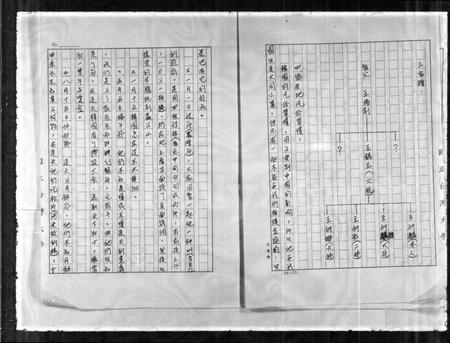 山东王氏-王氏族谱.pdf电子版预览图2