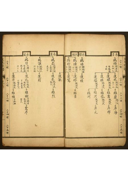 山东王氏-王氏族谱.pdf电子版预览图4