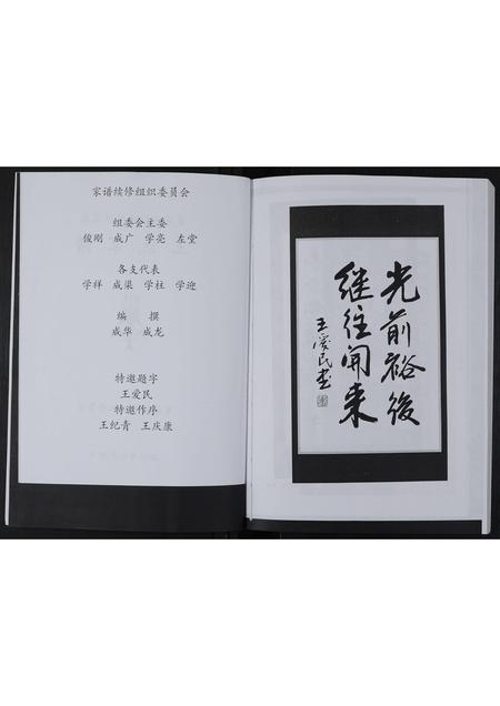 山东王氏-莱芜市钢城区陈家庄王氏家谱 [不分卷].pdf电子版预览图2