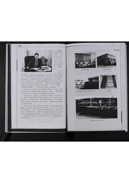 山东王氏-莱芜市钢城区陈家庄王氏家谱 [不分卷].pdf电子版预览图4