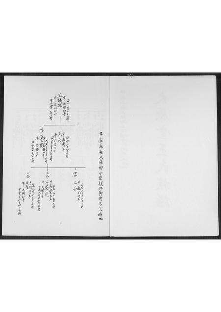 山西王氏-太原堂王氏族谱.pdf电子版预览图2