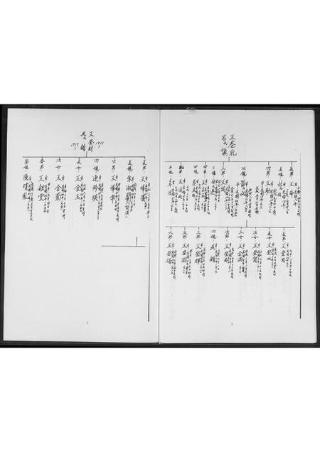 山西王氏-太原堂王氏族谱.pdf电子版预览图3