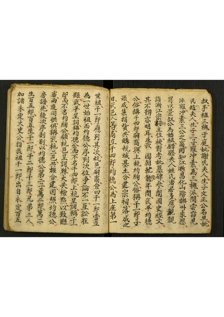 山西王氏-太原王氏三修族谱.pdf电子版预览图5