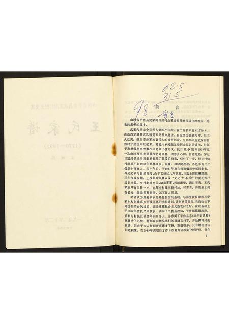 山西王氏-山西省平鲁县武家沟村村史及其王氏家谱.pdf电子版预览图3