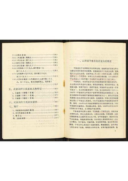 山西王氏-山西省平鲁县武家沟村村史及其王氏家谱.pdf电子版预览图5