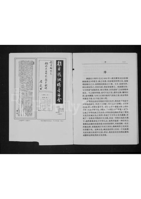 山西王氏-平定宋家庄王氏家族谱志.pdf电子版预览图5