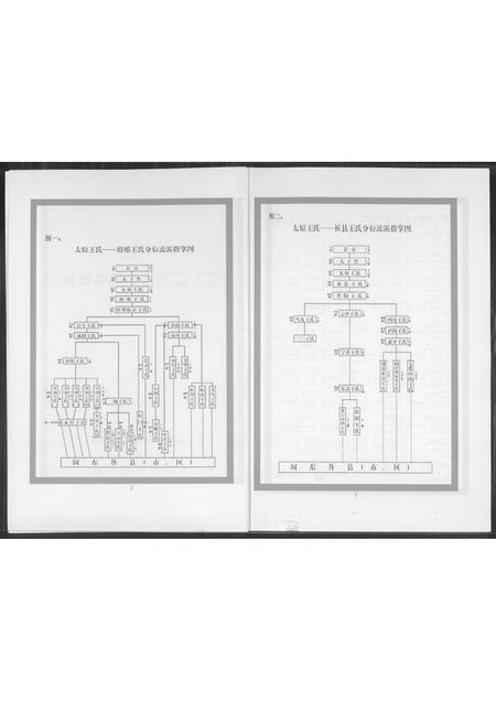 山西王氏-王氏世系总图.pdf电子版预览图2