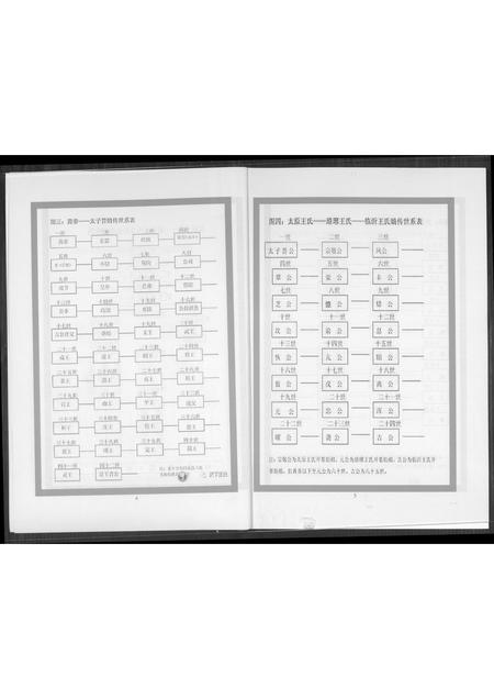 山西王氏-王氏世系总图.pdf电子版预览图3