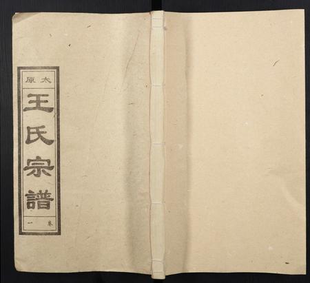 山西王氏-王氏宗谱.pdf电子版缩略图