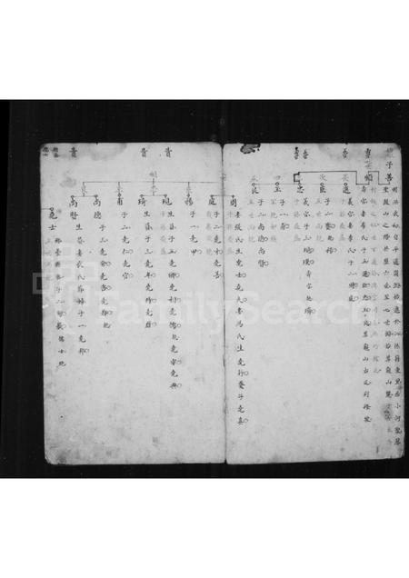 山西王氏-[王氏宗谱].pdf电子版预览图1