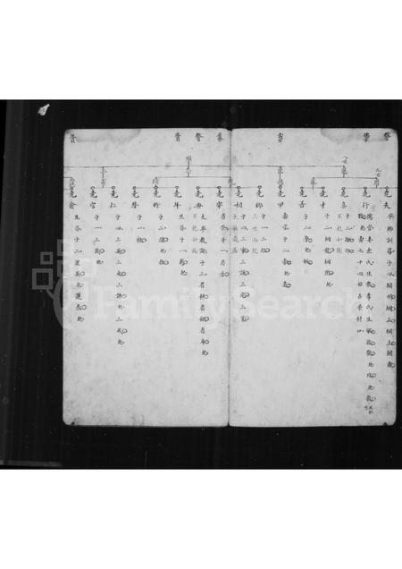 山西王氏-[王氏宗谱].pdf电子版预览图2