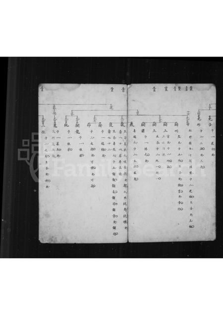 山西王氏-[王氏宗谱].pdf电子版预览图3