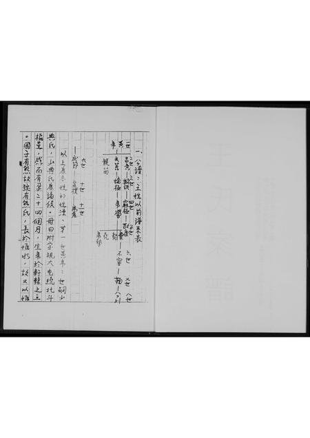 山西王氏-王氏家谱.pdf电子版预览图2