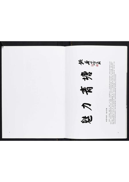 山西王氏-青塘王氏宗谱[不分卷].pdf电子版预览图3